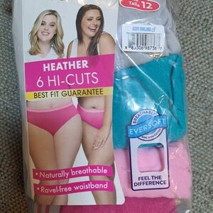 Fruit of the Loom Heather 6-Pack Hi-Cut Panties in Teal, Pink, Gray